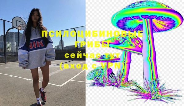 герыч Вяземский