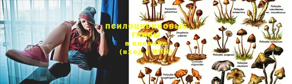 альфа пвп Вязьма