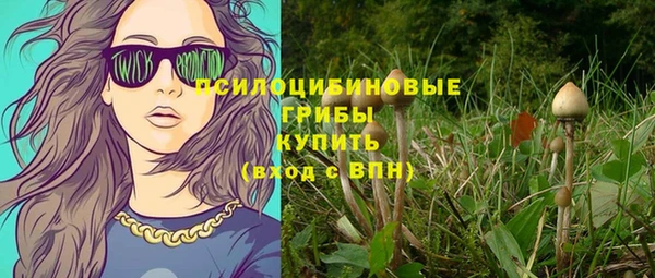 герыч Вяземский