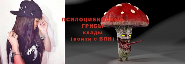герыч Вяземский