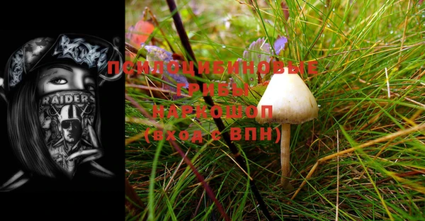 герыч Вяземский